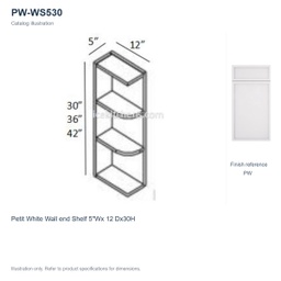 PW-WS530