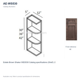 AE-WS530