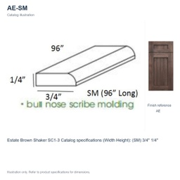 AE-SM