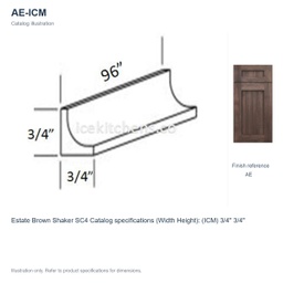 AE-ICM