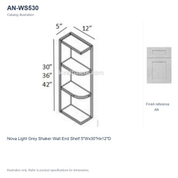 AN-WS530