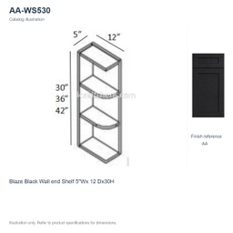 AA-WS530