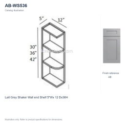 AB-WS536