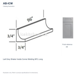 AB-ICM