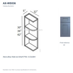 AX-WS536