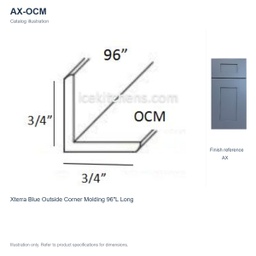 AX-OCM