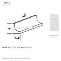 TW-ICM