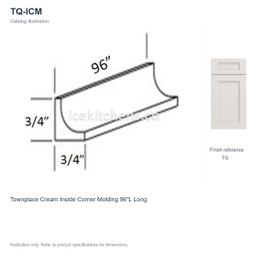 TQ-ICM